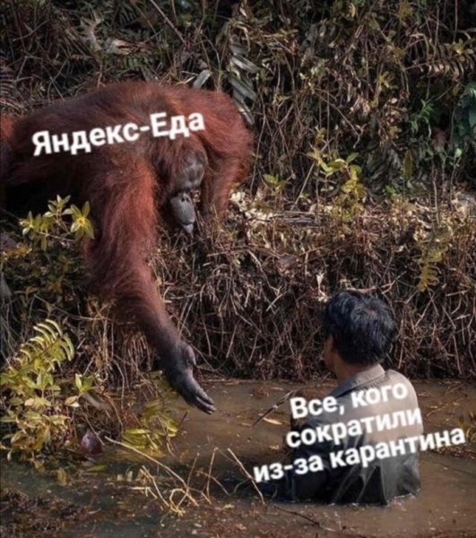 Смешные анекдоты про карантин