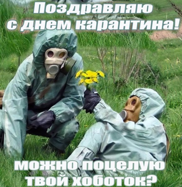 Приколы про карантин
