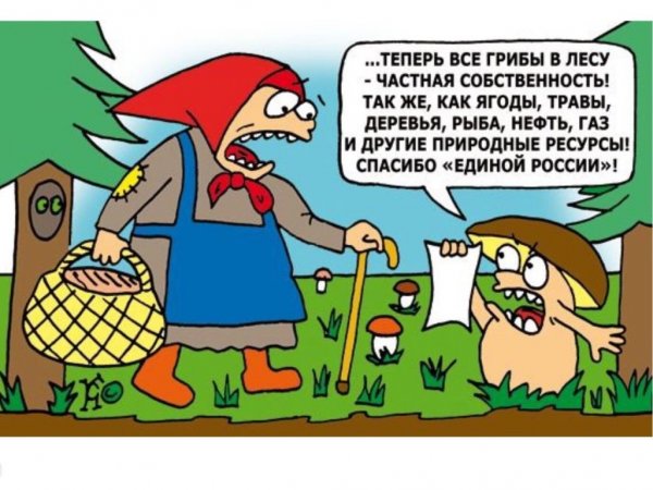 Карикатуры про грибы и грибников