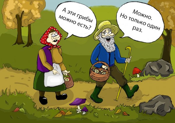 Грибы прикол