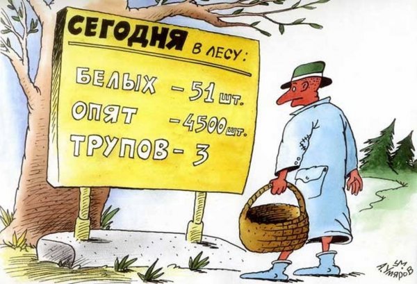 Грибник карикатура