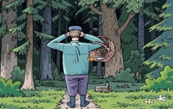 Приколы про грибников