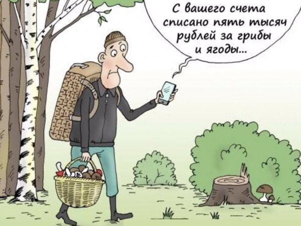 Собирать грибы карикатуры
