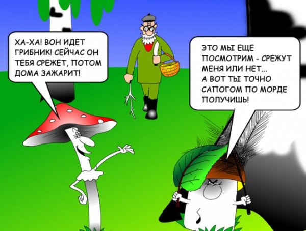 Грибы прикол
