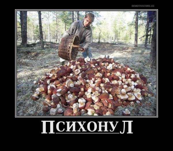 Приколы про грибников