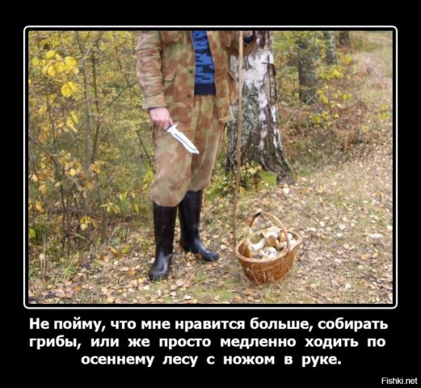 Приколы про грибников