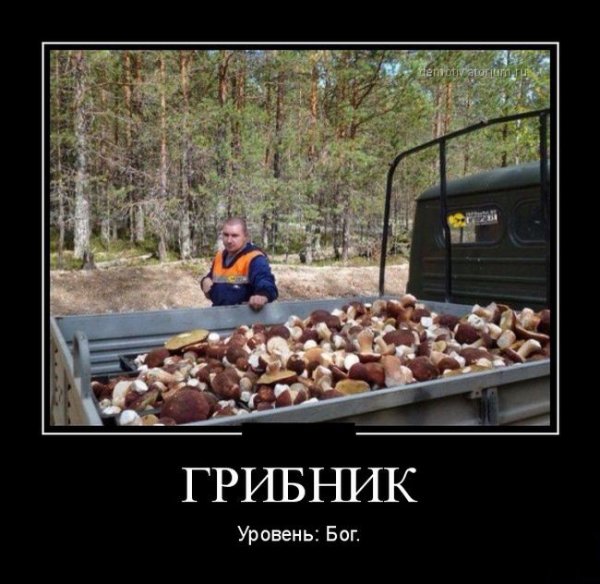 Прикольный грибник