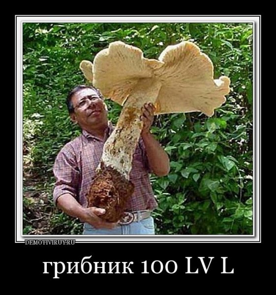 Грибные приколы
