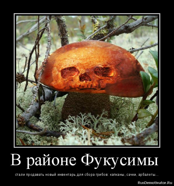 Смешные грибы