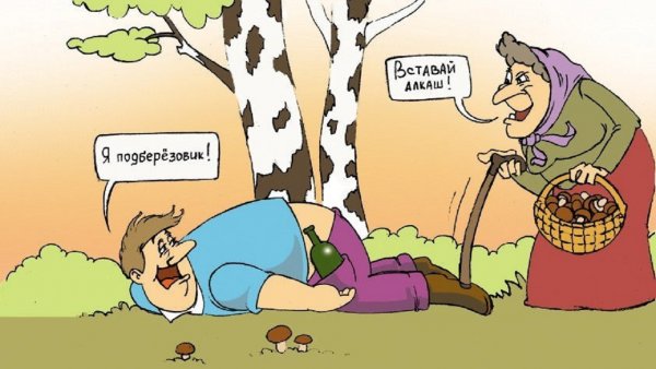 Карикатуры про грибы и грибников