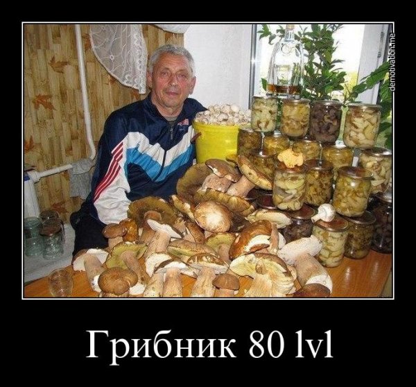 Демотиваторы про грибников