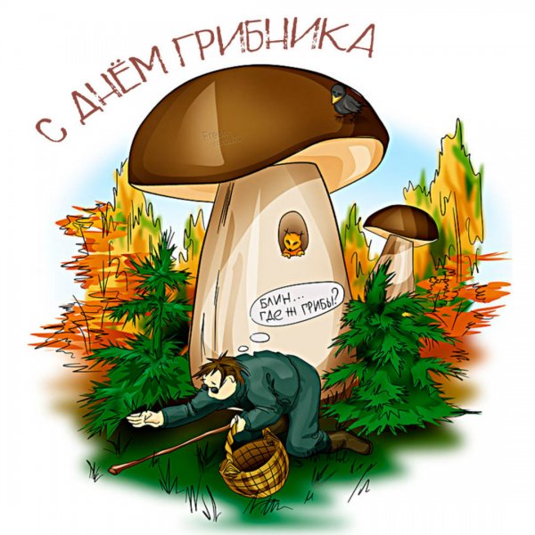 Прикольные грибы
