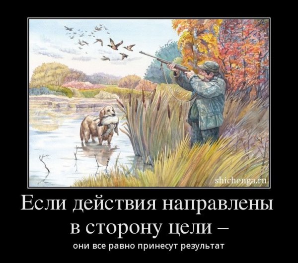 Собака на охоте прикол