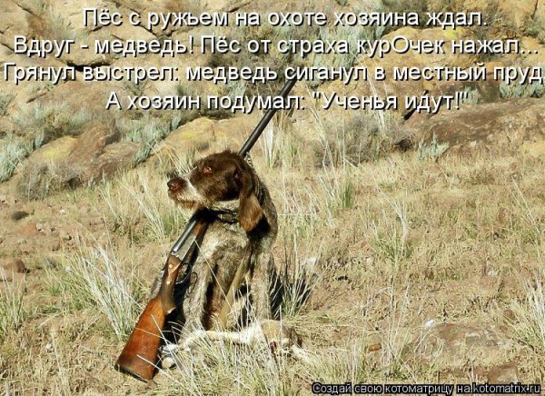 Карикатуры на охотников