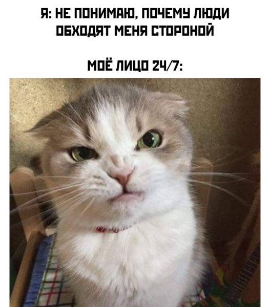 Смешной юмор фото