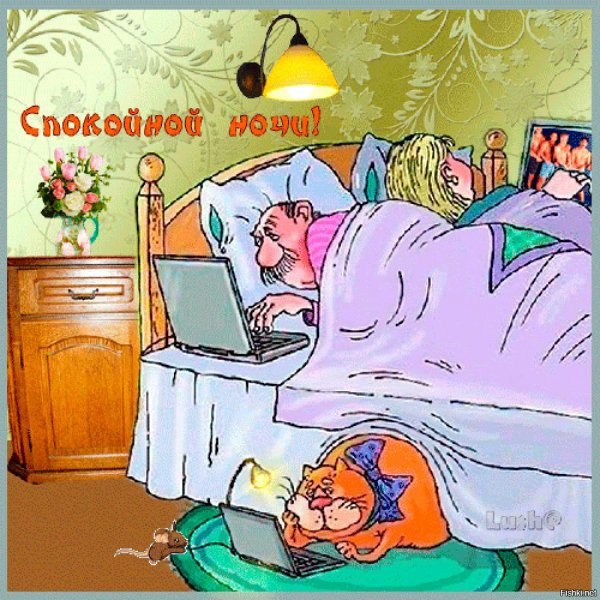 Открытки спокойной ночи прикольные