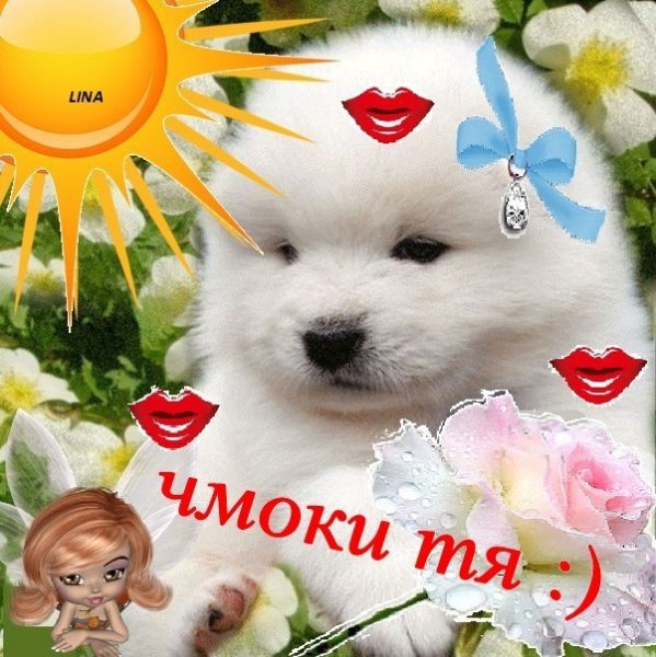Открытка чмоки