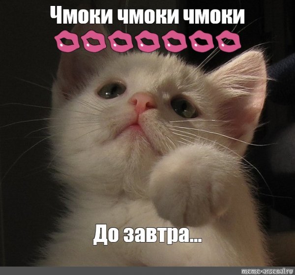 Целую до завтра