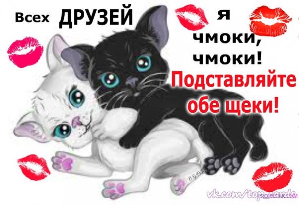 Спокойной ночи чмоки чмоки
