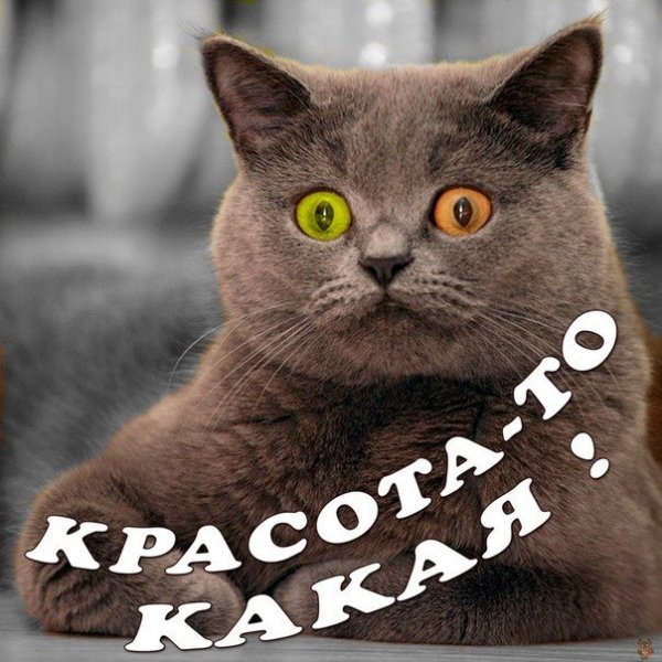 Обалдеть надпись