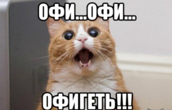 Обалдеть Мем