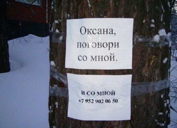 Приколы про аксаску смешные