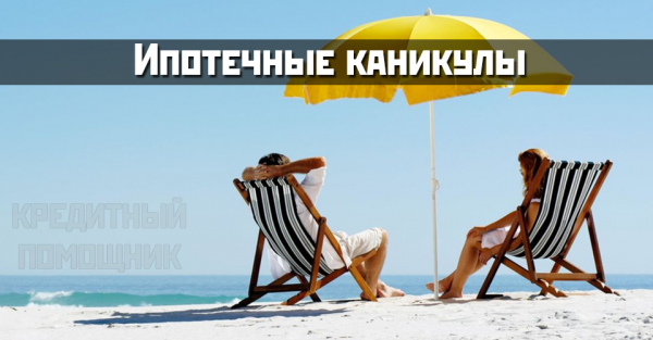 Кот на пляже