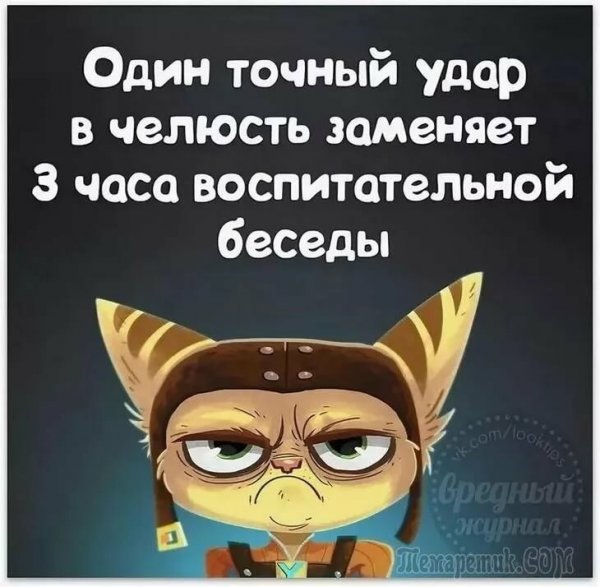 Смешные цитаты