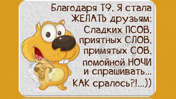 Смешные высказывания