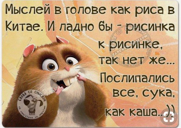 Веселые цитаты