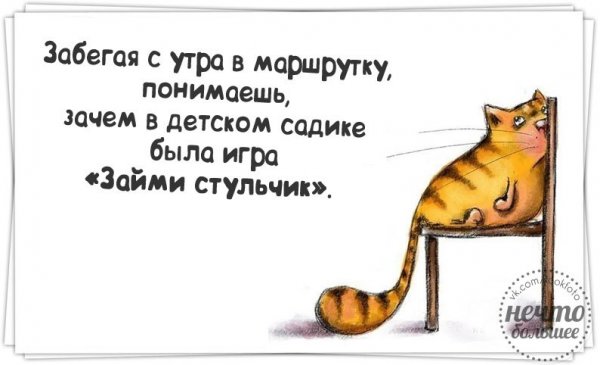 Смешные выражения в картинках