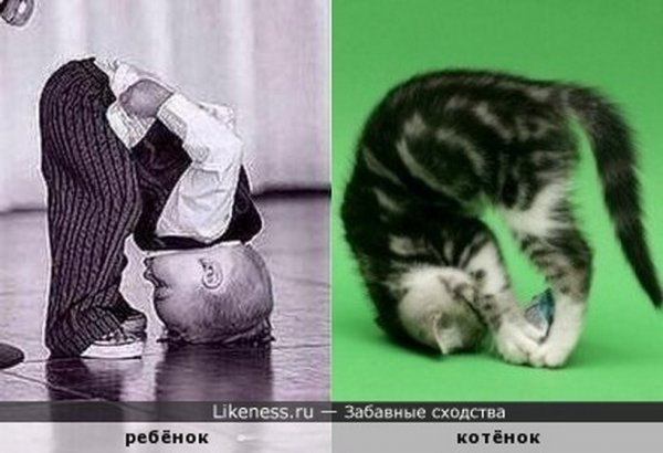 Низкий поклон