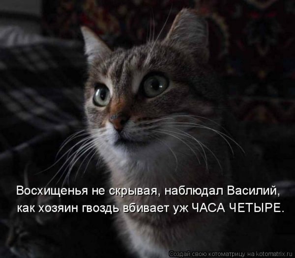 Выразить восхищение словами