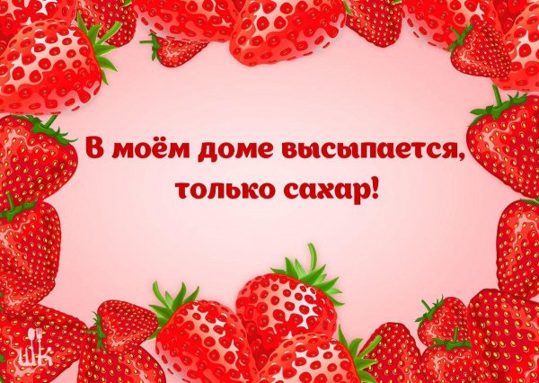 Смешное четверостишие про диету