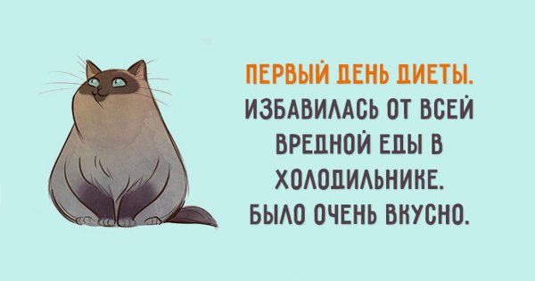 Шутки про похудение
