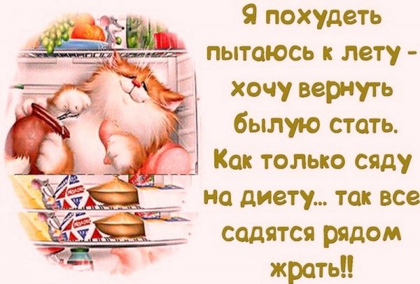 Смешные фразы про диету