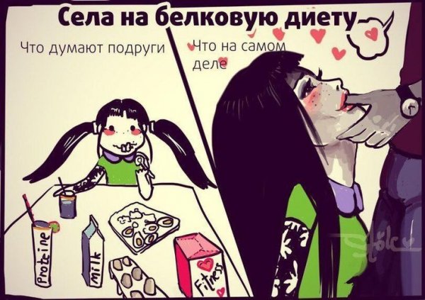 Села на белковую диету что думают