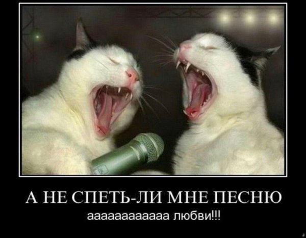 Демотиваторы мартовские коты