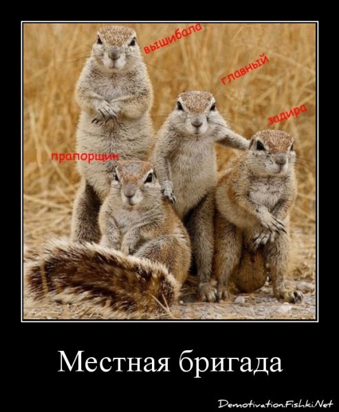 Игра суслик личность