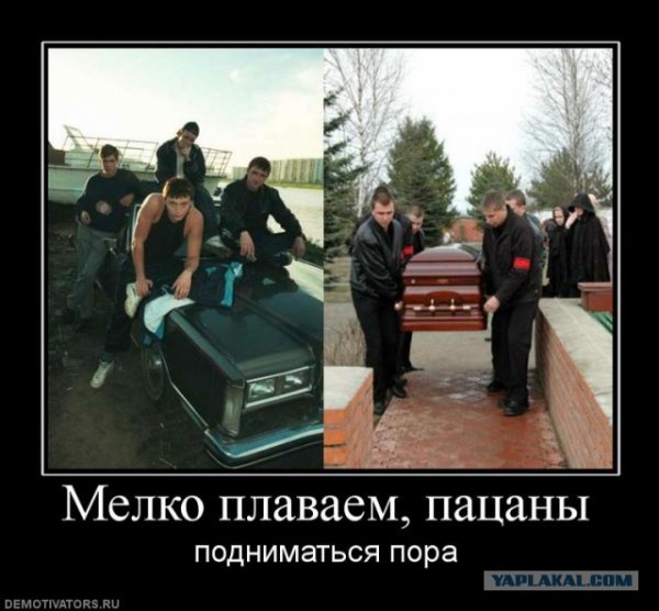 Бригада демотиваторы