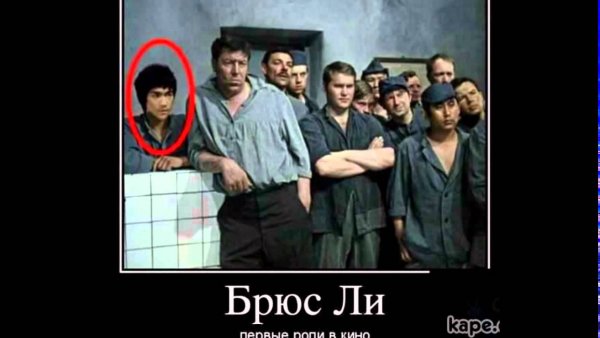 Бригада фото приколы