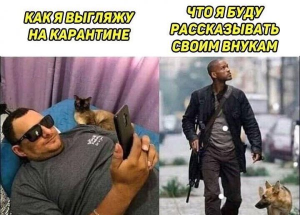 Мемы про самоизоляцию
