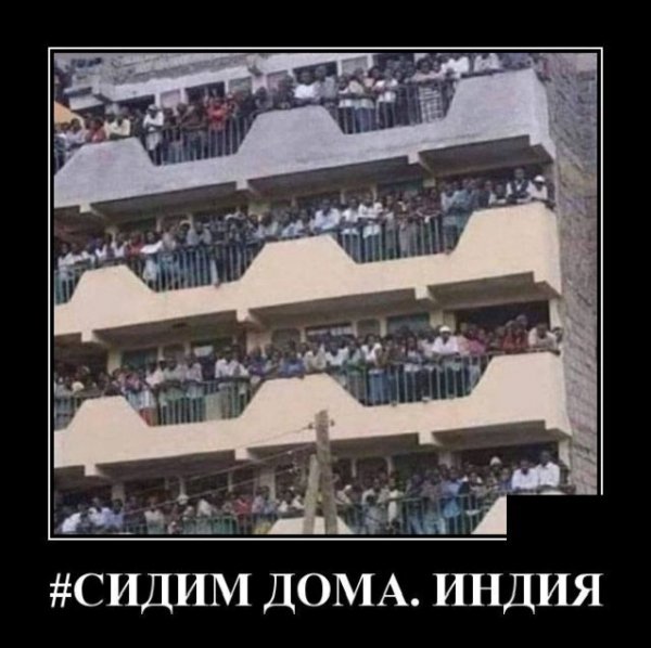 Демотиватор сиди дома