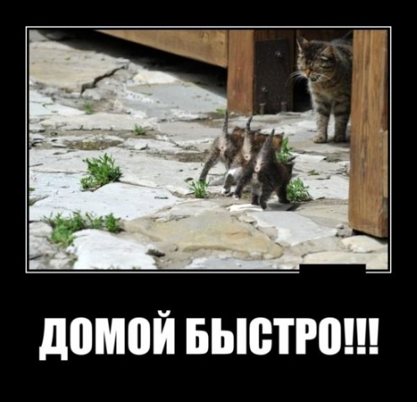 Быстро домой