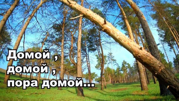 Домой пора домой