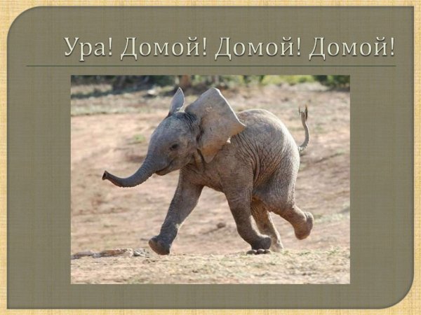 Ура домой