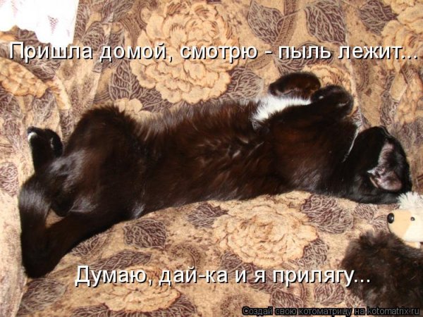 Пришла с работы смешные