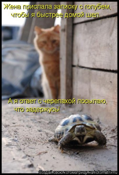 Хочу домой прикол