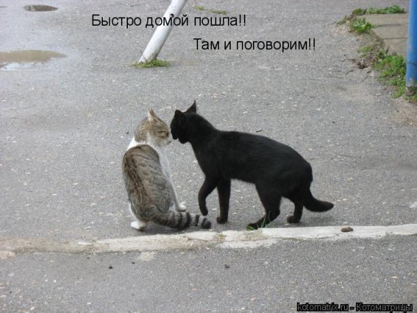 Быстро домой