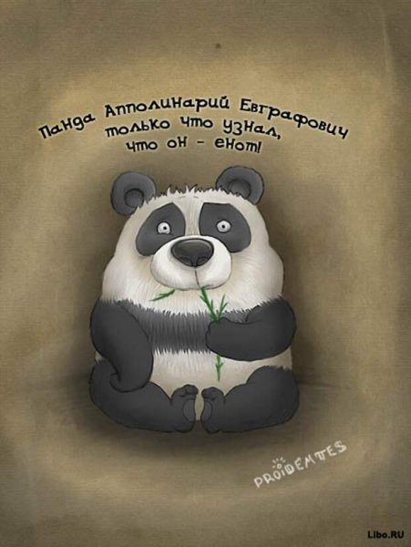 Панда юмор